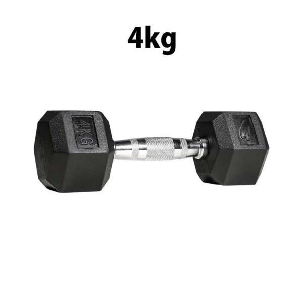 六角ダンベル 4KG BODYMAKER ボディメーカー PD009400 六角 ダンベル ４ＫＧ ...