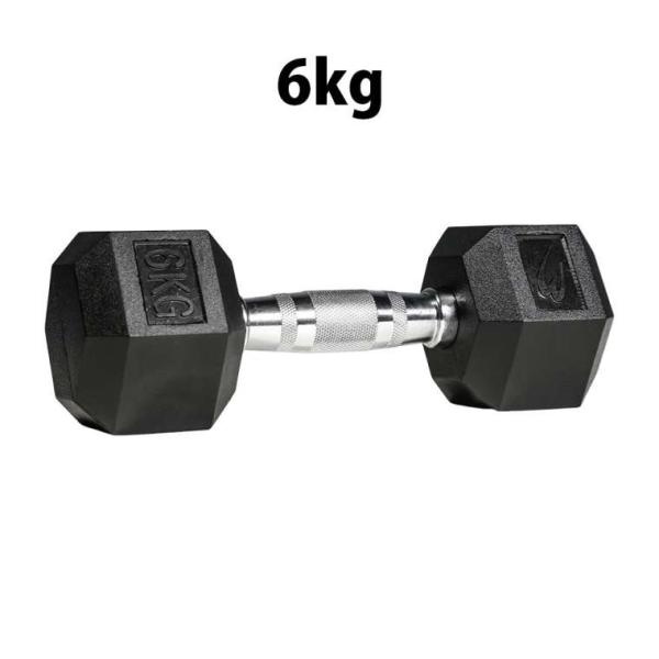 六角ダンベル 6KG BODYMAKER ボディメーカー PD009600 六角 ダンベル ６ＫＧ ...