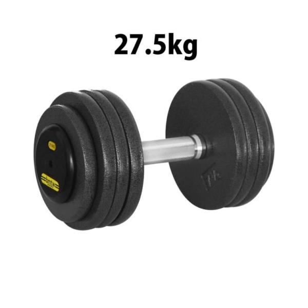ジム用ハンマートーンダンベル 27.5kg BODYMAKER ボディメーカー 筋トレ 腹筋 体幹ト...