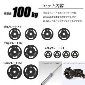 テクノジム オリンピックプレート 20kg×2枚 10kg×2枚 5kg×2枚 2.5kg×2