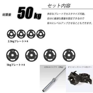 WILD FIT（ワイルドフィット） オリンピック バーベルセット 105kg