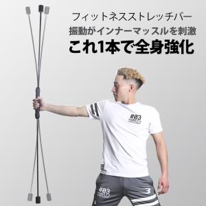 体幹ストレッチ　アイリスオーヤマ　TSR-1265 IRIS OHYAMA 体幹 ストレッチ コアトレーナー 体幹ストレッチ L