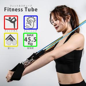 フィットネスチューブ ドアアンカー付の買取情報