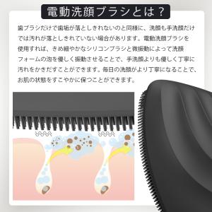 GESKE ソニック フェイシャルブラシ 美顔...の詳細画像3