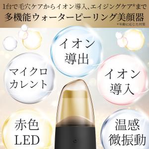 美顔器 GESKE マイクロカレント スキンス...の詳細画像1