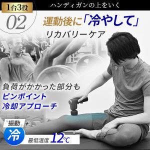 ドクターエア エクサガン ホット&クール RE...の詳細画像5