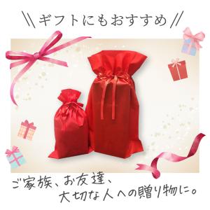 ドクターエア エクサガン ハンディPRO RE...の詳細画像3