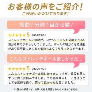 ヨガポール ドクターエア ピラティスロール E...の詳細画像2