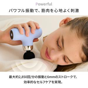 ドクターエア エクサガン ケア REG-09 ...の詳細画像4