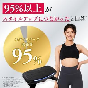 ステッパー ドクターエア 3Dバランスブレード...の詳細画像3
