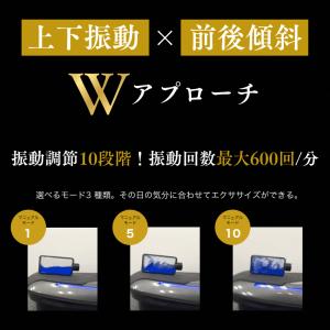 ステッパー ドクターエア 3Dバランスブレード...の詳細画像5
