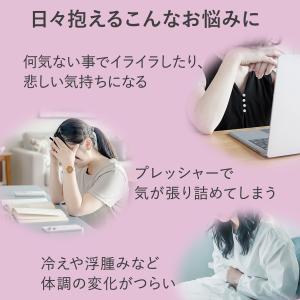 耳栓 ドクターエア Doctorair ME ...の詳細画像4