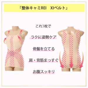 補正下着 ノンワイヤー 大きいサイズ カップ付...の詳細画像2