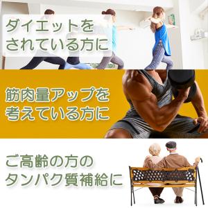 大豆プロテイン1kg 無添加プレーン 日本国内...の詳細画像1