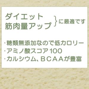 大豆プロテイン3kg 無添加プレーン 日本国内...の詳細画像3