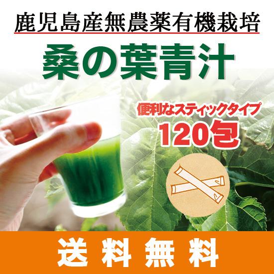 鹿児島県産無農薬　桑の葉 粉末 　2g×120包　桑の葉青汁　便利なスティックタイプ プロテインと一...