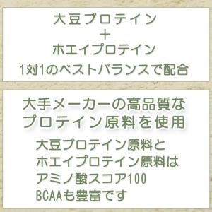 4月8日発送 ツインたんぱく 大豆+ホエイ い...の詳細画像2