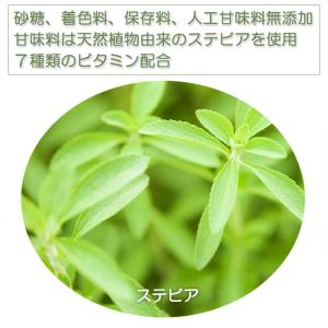 ボディウイング 大豆プロテインプレミアム チョ...の詳細画像3