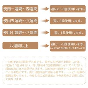 サロン級 脱毛器 IPL光脱毛器 ヒゲ ムダ毛...の詳細画像4