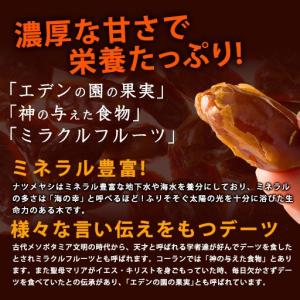ドライフルーツ デーツ 無添加 ドライデーツ ...の詳細画像2