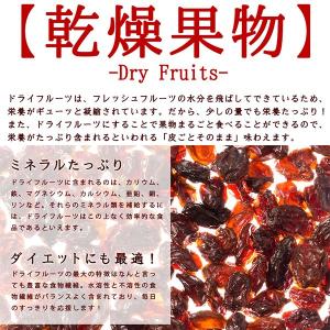 ドライフルーツ レーズン 麗しのレーズン ノン...の詳細画像3