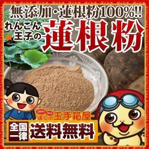 蓮根粉 100g 徳島県産 グルメ セール お取り寄せ お試し 業務用 [ 蓮根パウダー レンコンパウダー ]