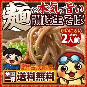 そば 蕎麦  麺が本気で旨い 讃岐 生そば お試し300g (大盛り2人前) 完全数量限定 送料無料 （セット パック）