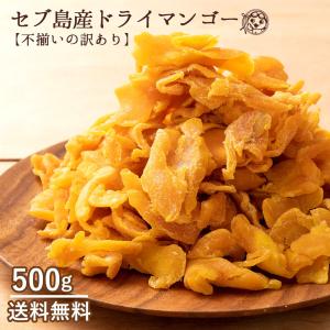 ドライフルーツ ドライマンゴー 送料無料 500g セブ島 マンゴー 種周り 切り落とし 不揃い 半生 肉厚 フィリピン 訳あり ポイント消化