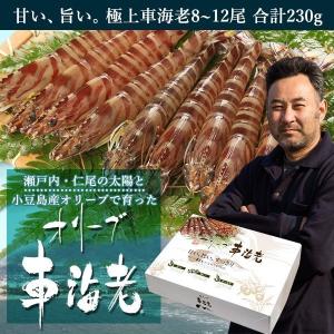 オリーブ車海老 テレビで話題 車エビ 送料無料 活きオリーブ車海老 230g 8-12尾 小豆島オリーブで育った オリーブ車海老 [ 新鮮 グルメ 海老 エビ ]