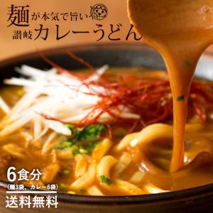 うどん 本場香川県 讃岐カレーうどん 6人前 送料無料 セット パック 訳あり ポイント消化