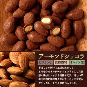 ナッツ チョコレート ピーカンナッツ・アーモン...の詳細画像3
