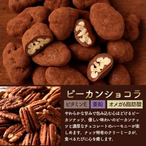 ナッツ チョコレート ピーカンナッツ・アーモン...の詳細画像3