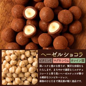 ナッツ チョコレート ピーカンナッツ・アーモン...の詳細画像4