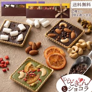 ホワイトデー お返し 2022 チョコ 子供 送料無料 どどどきゅんとショコラ 2種類から1個選べる！ チョコ3種入り  チョコレート プチギフト かわいい 予約