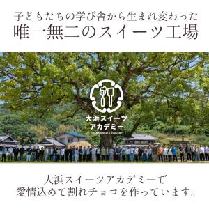 割れチョコ 訳あり チョコ 絶対後 悔させない...の詳細画像4