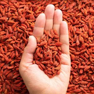 ドライフルーツ クコの実 無添加 1kg 50...の詳細画像1