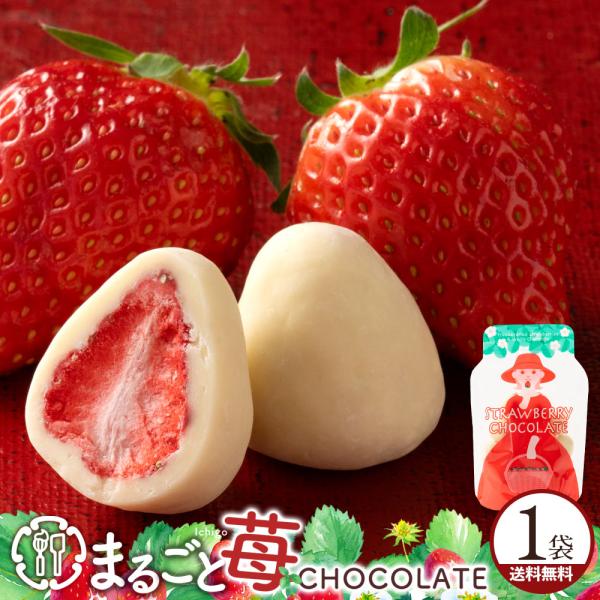 可愛くなって再登場 チョコレート まるごと苺チョコレート 15粒入り スイーツ チョコ まるごと ホ...