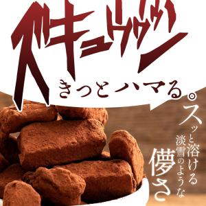 チョコレート チョコ 割れチョコ スイーツ 禁...の詳細画像1