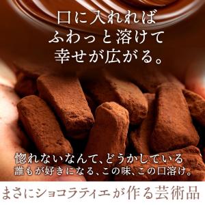 チョコレート チョコ 割れチョコ スイーツ 禁...の詳細画像2