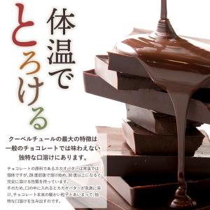 チョコレート チョコ 割れチョコ スイーツ 禁...の詳細画像5