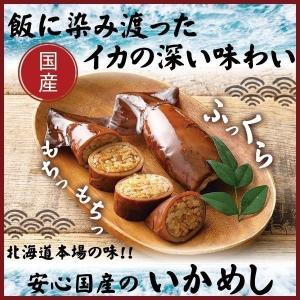 イカメシ いか飯 イカ飯 国産 もちっと イカめし 2尾セット (1尾あたり80g〜100g 食べやすい小さめサイズ) いかめし お試し グルメ ポイント消化