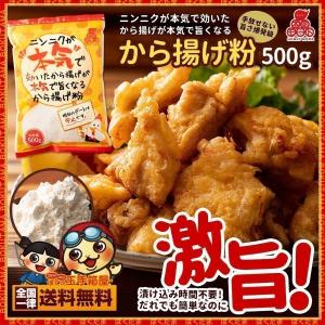 ニンニクが本気で効いた 唐揚げが本気でうまくなる から揚げ粉 500g 粉 グルメ ポイント消化