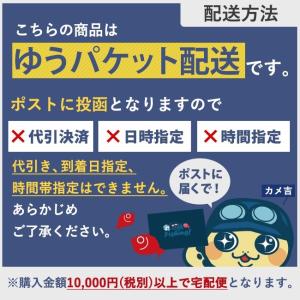 ima プラグ 限定カラー 平目バカ＆砂物マニア サスケ 100HS 裂砂 送料無料 アイマ SASUKE シーバス 限定 平目｜bokunotamatebakoyahl