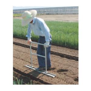 ネギロケット ハラックス ネギロケット(長ネギ定植用穴あけ器)20本 N-130S-19 : ボク