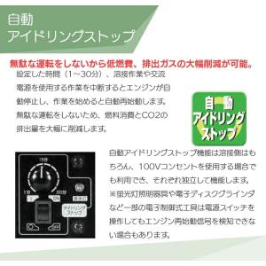 【サービス店が納入点検で安心】デンヨー 溶接機...の詳細画像4