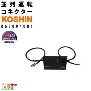 マキタ（makita） インバーター発電機 EG0900IS 900W 0.9kVA