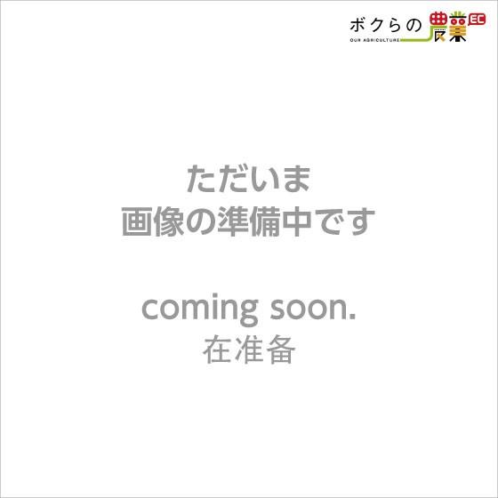 丸山製作所 散水ノズル NG20 412120 潅水ポンプに接続