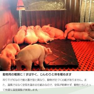 Panasonic パナソニック カーボンヒー...の詳細画像2