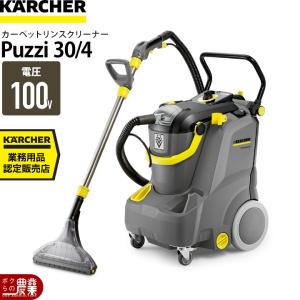 蔵王産業 業務用 カーペットリンスクリーナー スポットリンサー30S