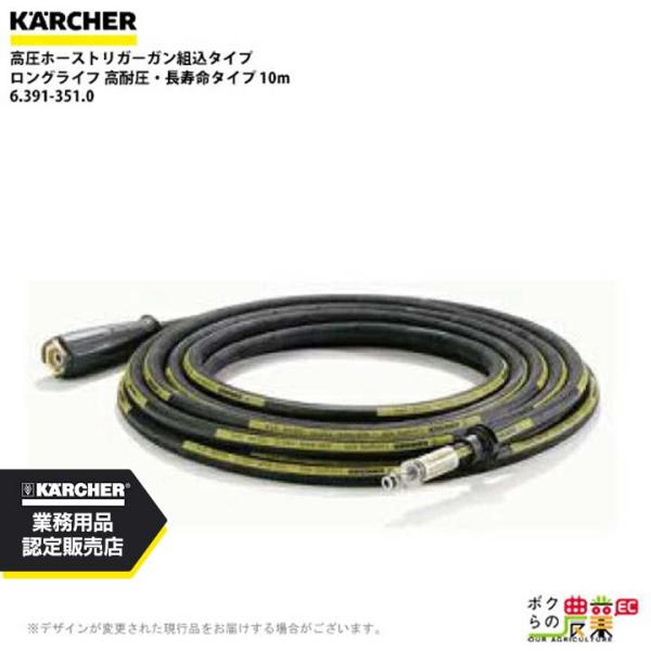 ケルヒャー トリガーガン 6.391-351.0 高圧ホース トリガーガン 組込タイプ 10ｍ 15...